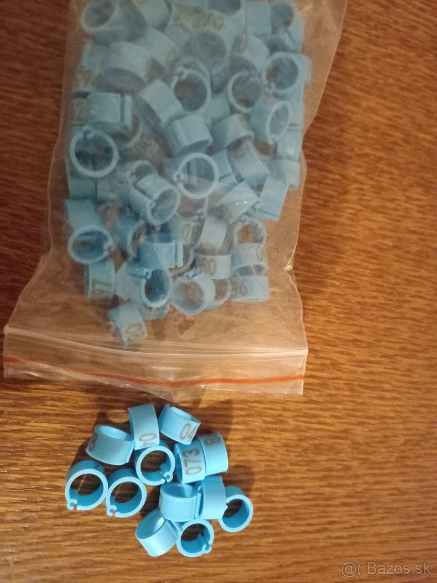 krúžky na vtáctvo - 2