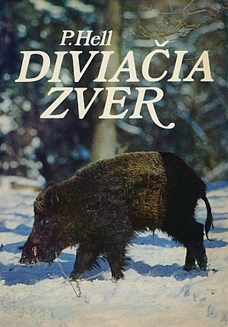 Poľovníctvo - 2