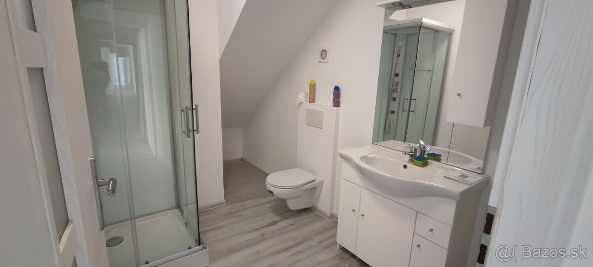 Multifunkčný priestor 150m2 (60+90m2) v Trnave - 2