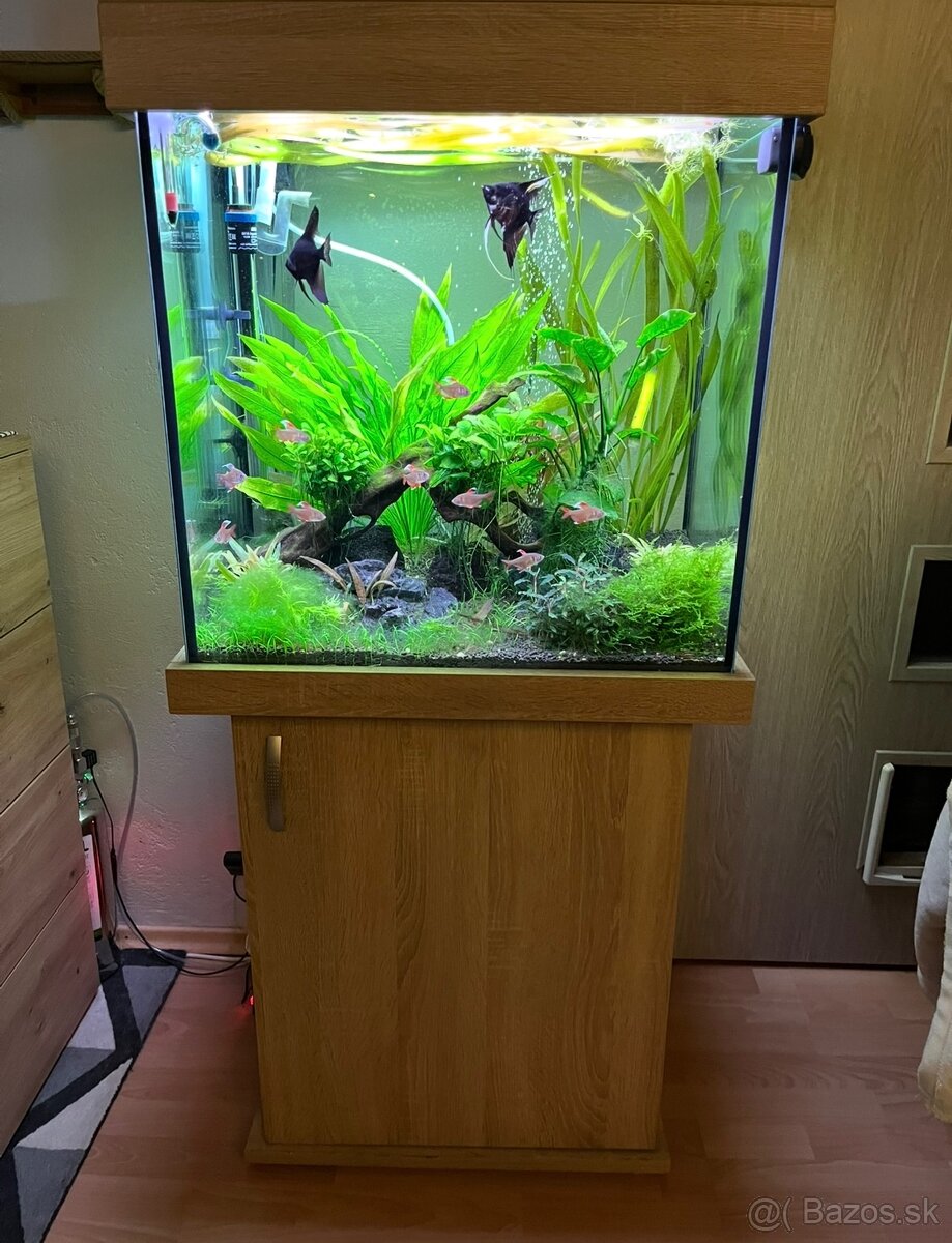 Akvarium 150l - 2
