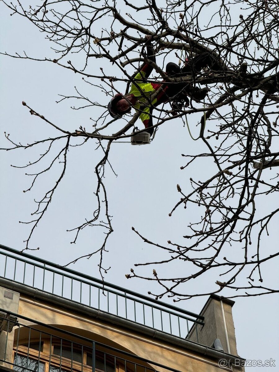 VÝRUB/OREZ STROMOV, LACNO A BEZPEČNE - 2