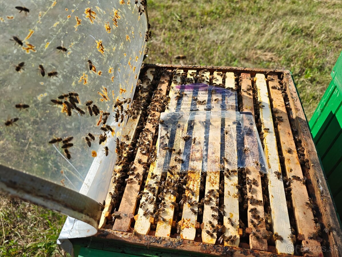 Predám produkčné vcelstvo - 2