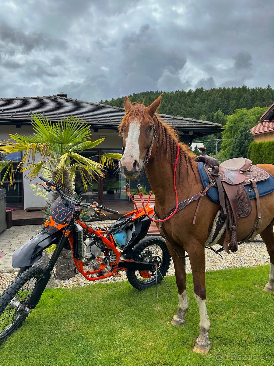 Sxf 450