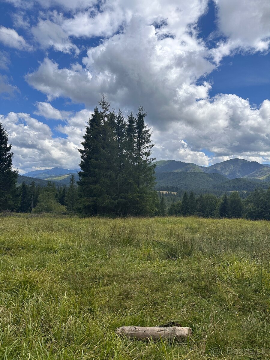 Výnimočný pozemok na predaj Oravice s exkluzívnymi výhľadmi - 2