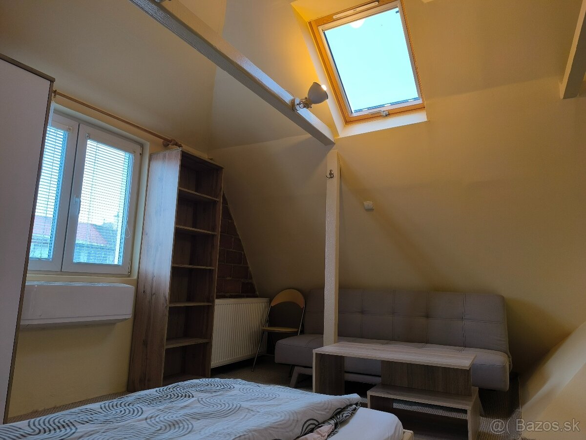 Izba v rodinnom dome blizko centra mesta. - 2