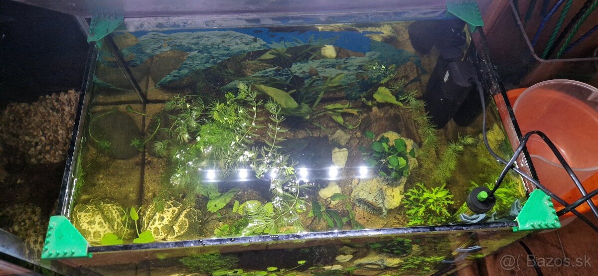 Akvárium 52 l zariadené - 2