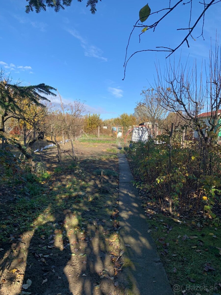 Chatka na predaj v Štúrove - 2