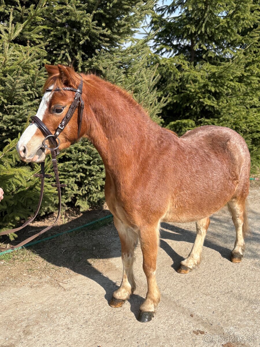 Ponik ideálny pre deti - 2