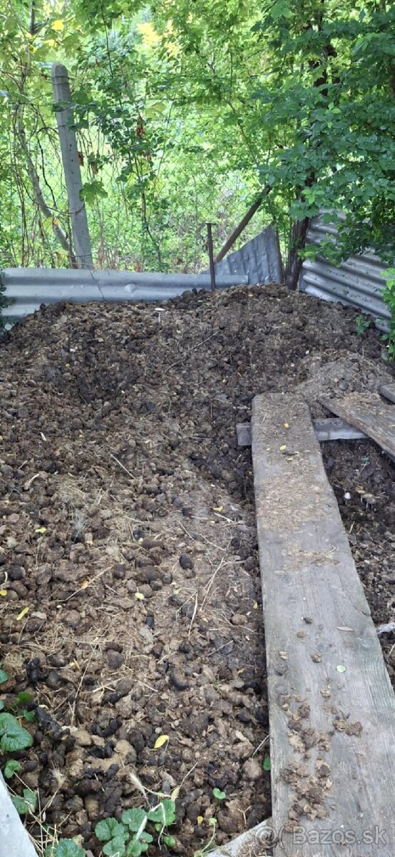 Predam konský hnoj - 2