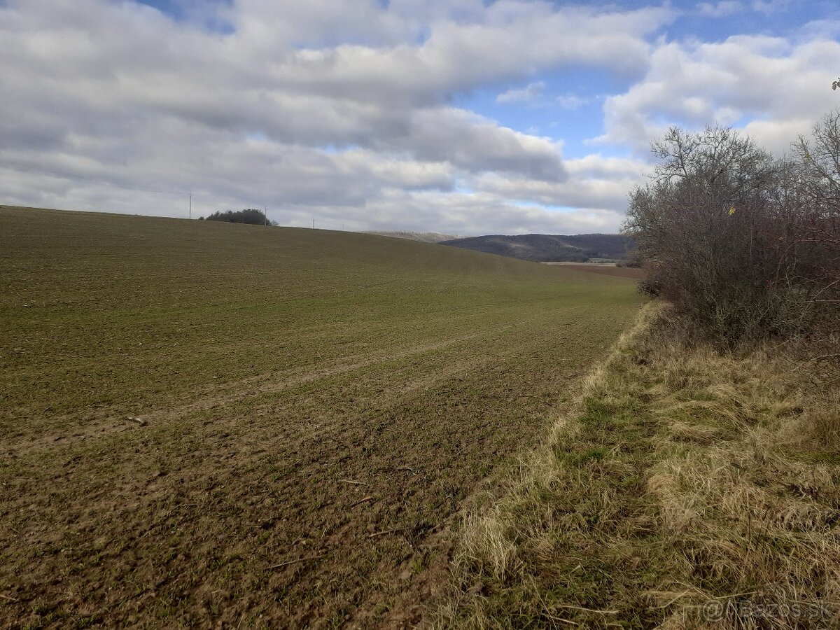 Veľké pozemky v katastry obce Hradište - 2