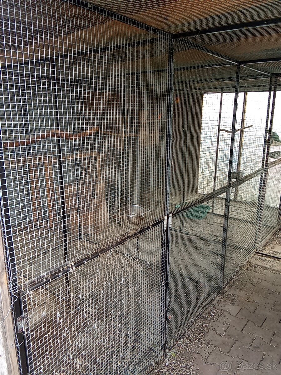 Predám volieru pre vtáky - 2