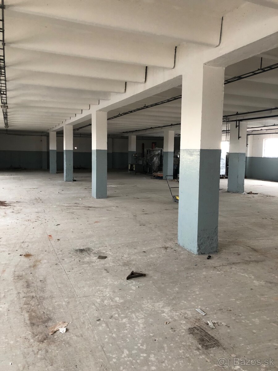 Ponúkame halu na prenájom - 2