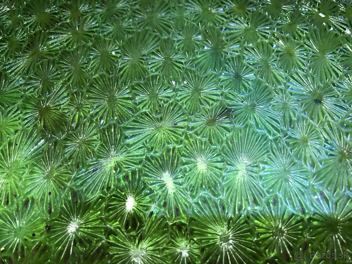 2ks Retro Zelené tabule/sklo s paternom - 2