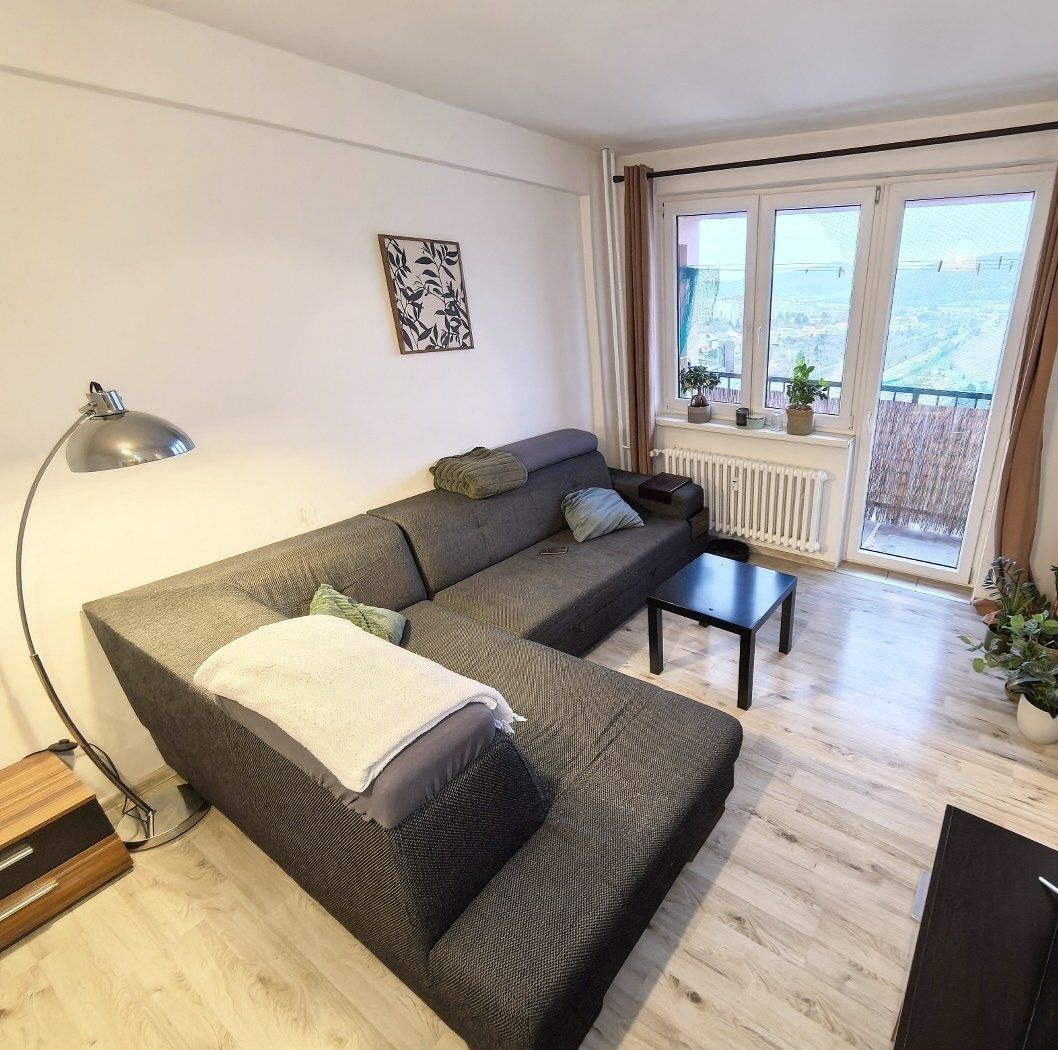 Predam 1.5 izbovy byt - 2