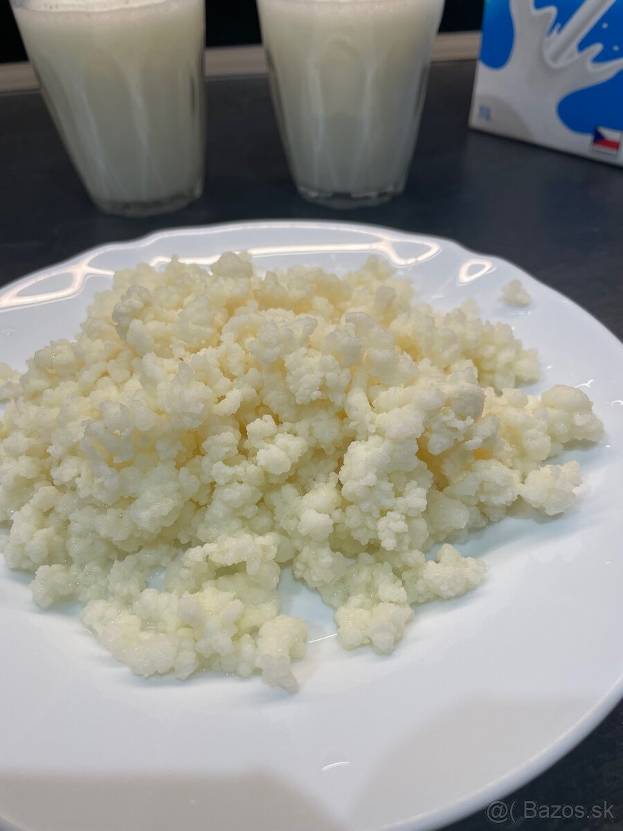 Predám kefírové zrná (Tibetská huba) - 2