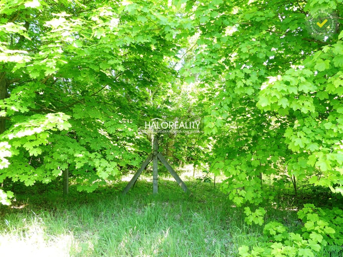 HALO reality - Predaj, pozemok 5834 m2 Trnava, zaujímavý i - 2