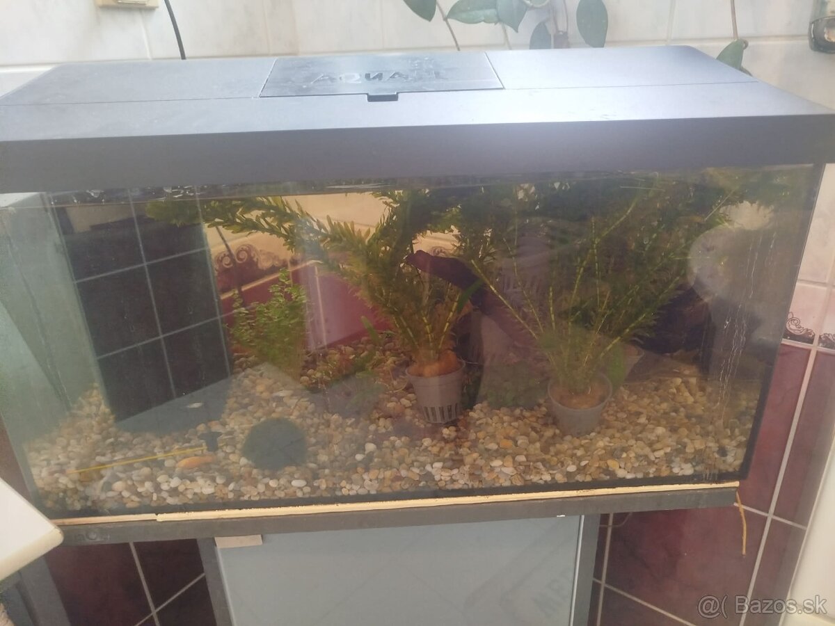 Akvarium 54l - 2