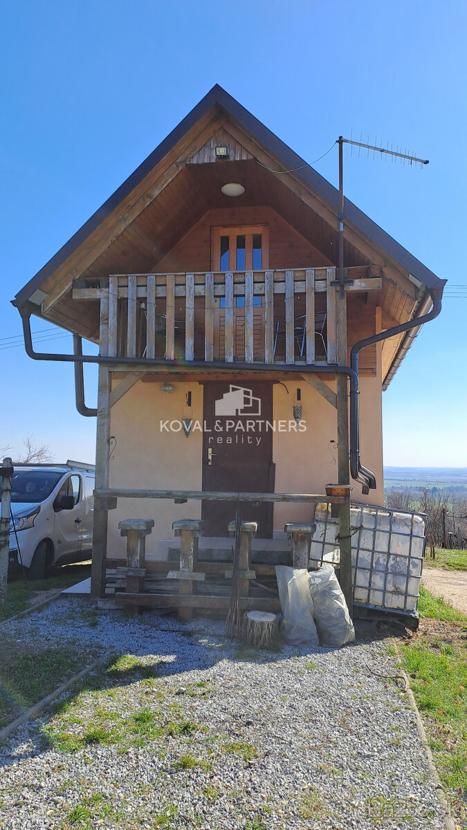 Vinica 608 m² s viničnou chatkou v obci Jelenec, okres Nitra - 2