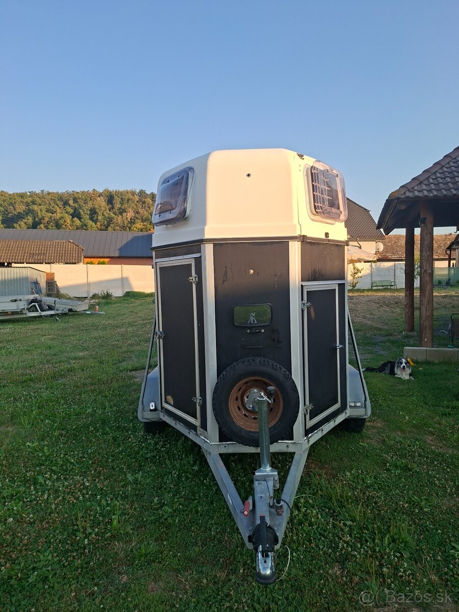 Prepravnik na kone - 2