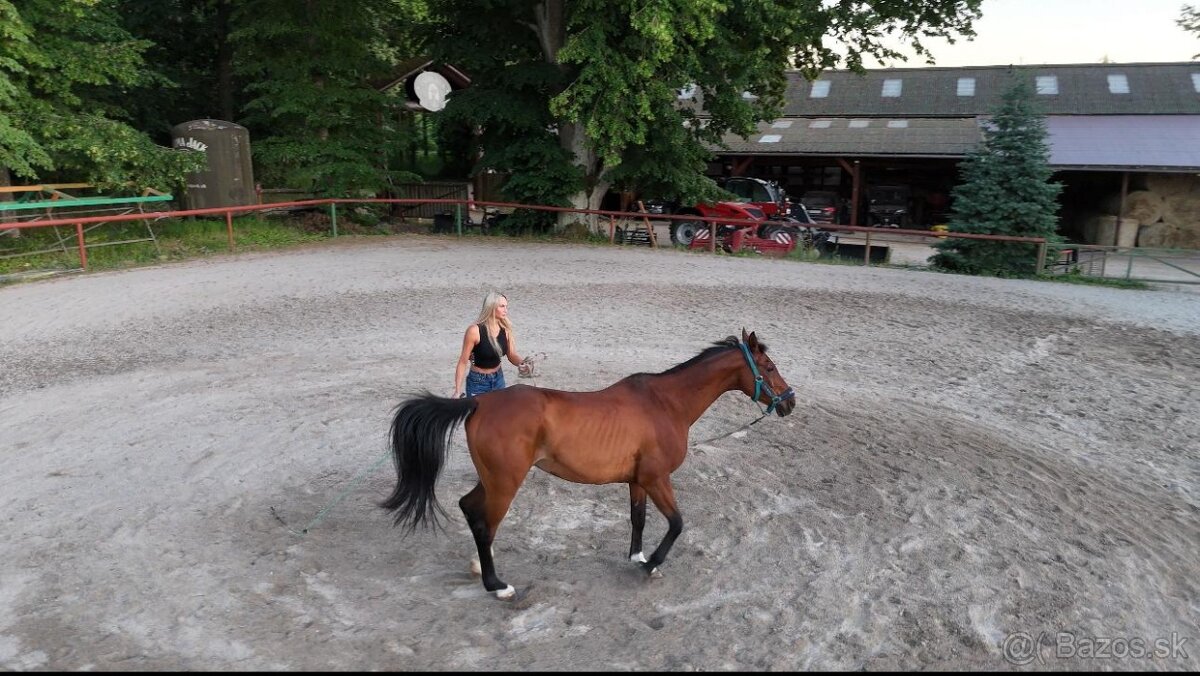 Jazdenie na koni - 2