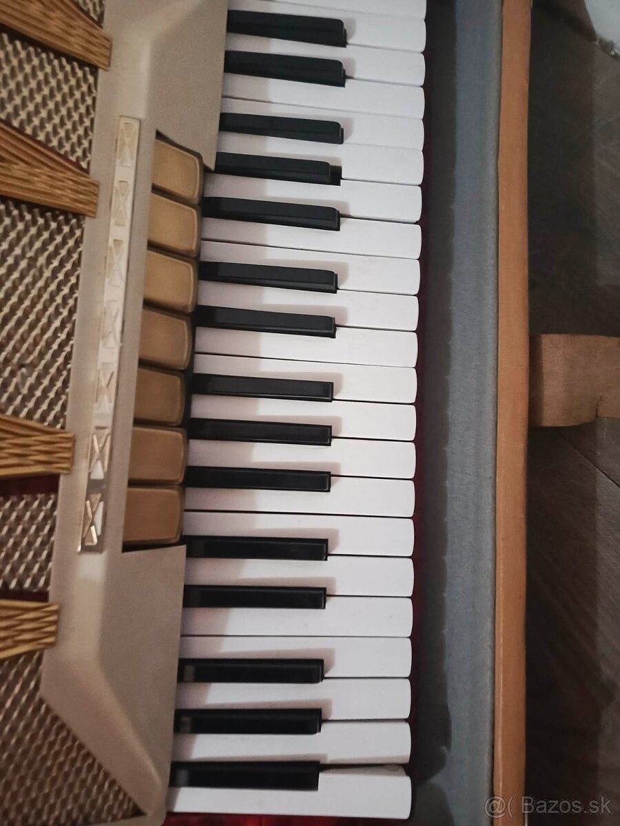 Delicia Melodia VIII - 2