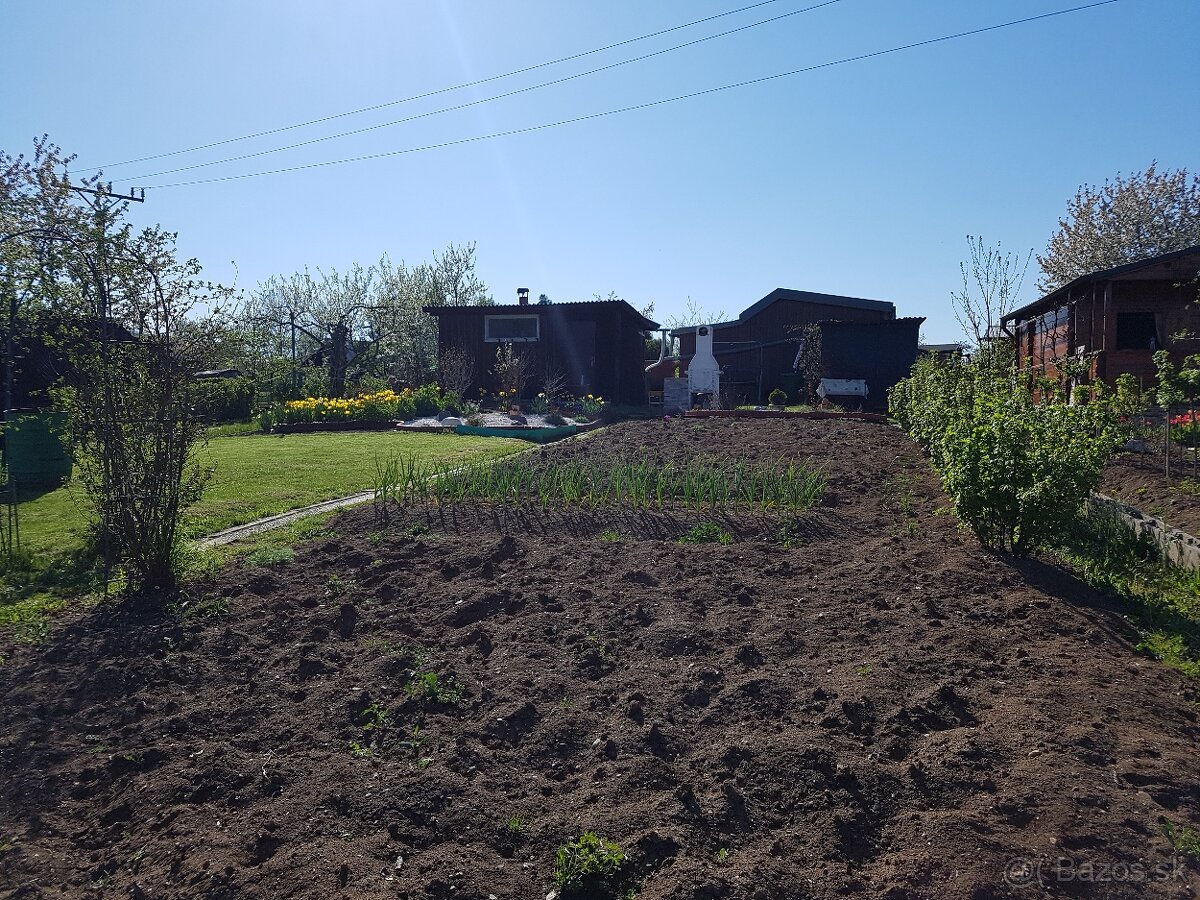 Záhrada na sídl. Mier - 2