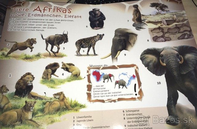 Mein Riesen-Pappebuch - Meine Lieblingstiere im Zoo - 2