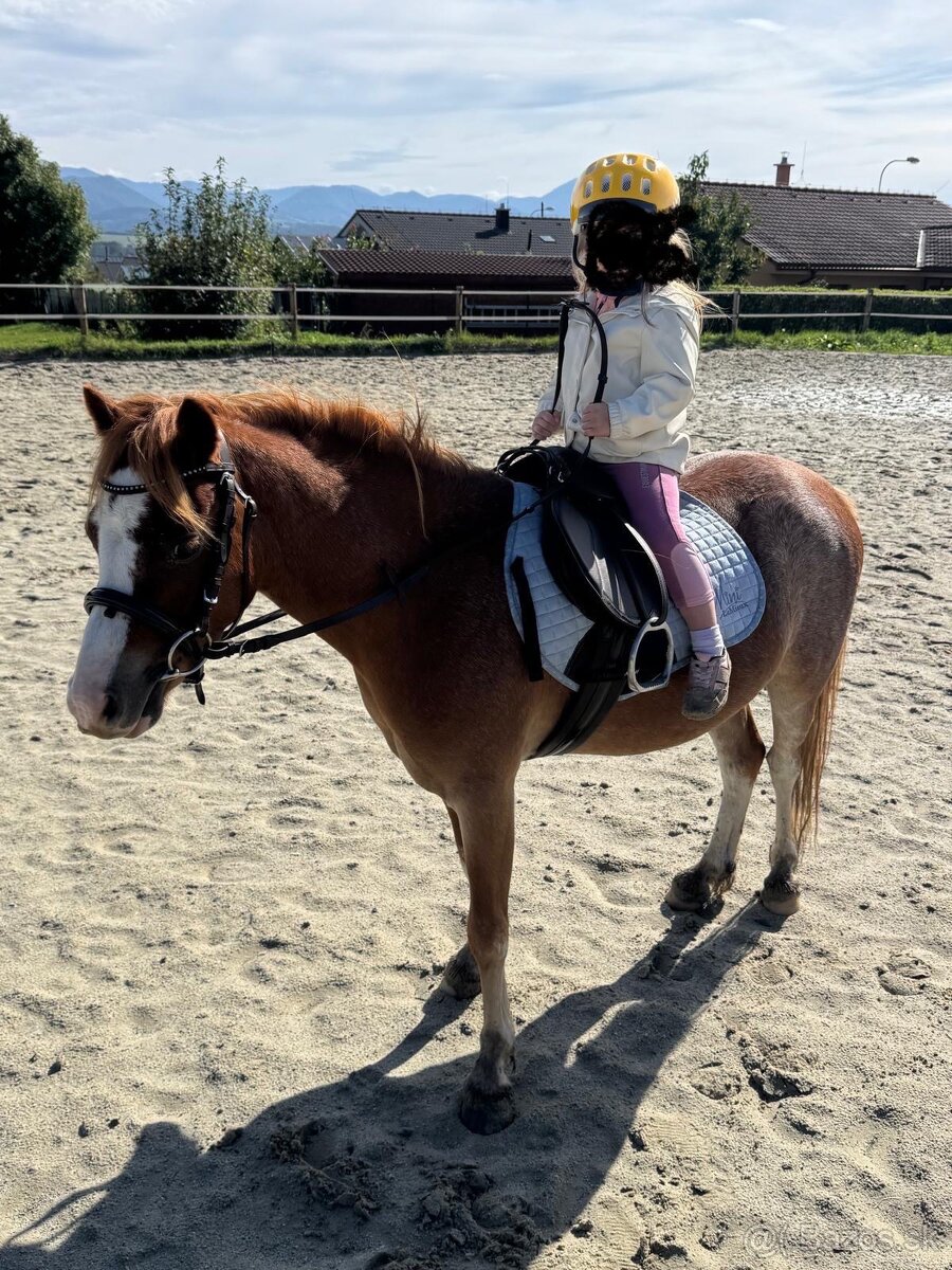 Pony pre princeznú - 2