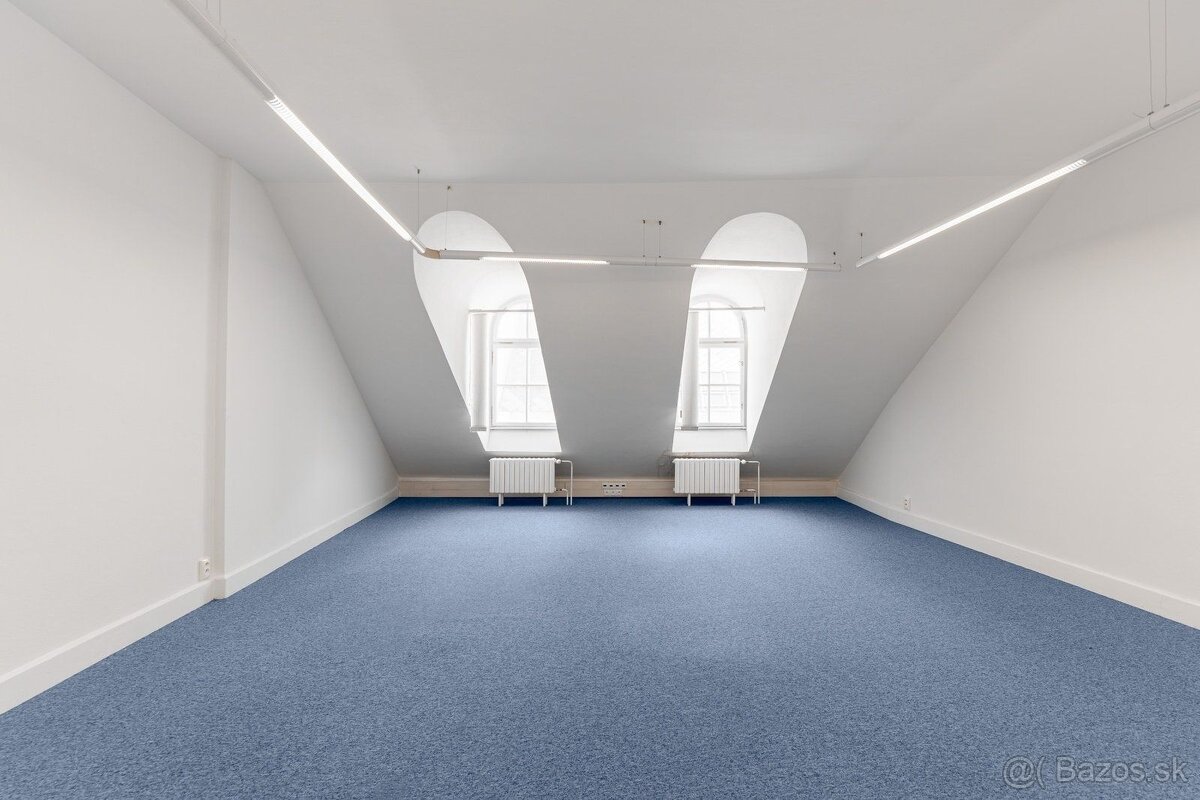 Priestory na pešej zóne v krásnej historickej budove, Michal - 2