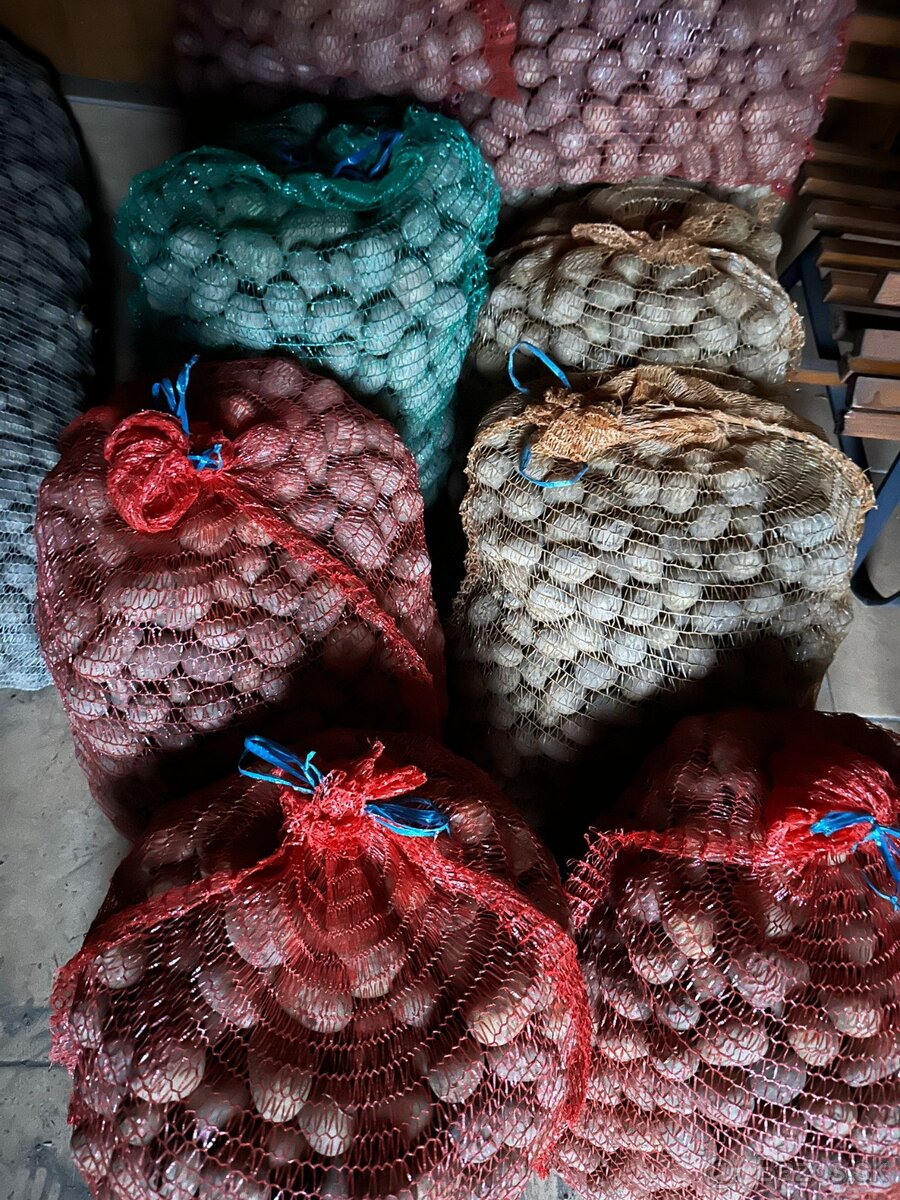 Predám ručne triedené krmné zemiaky - 2