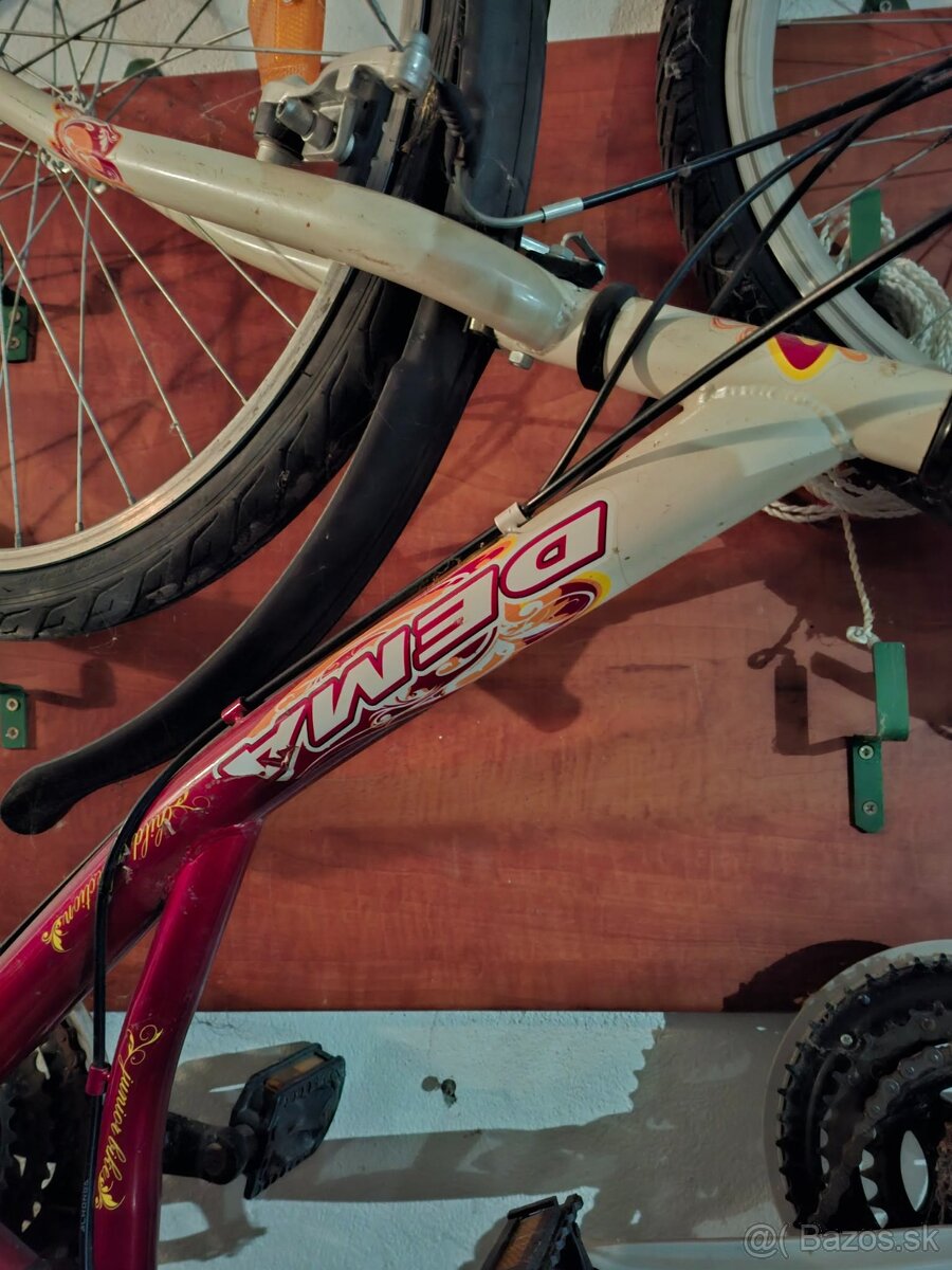 Bicykel DEMA a KENZEL - 2