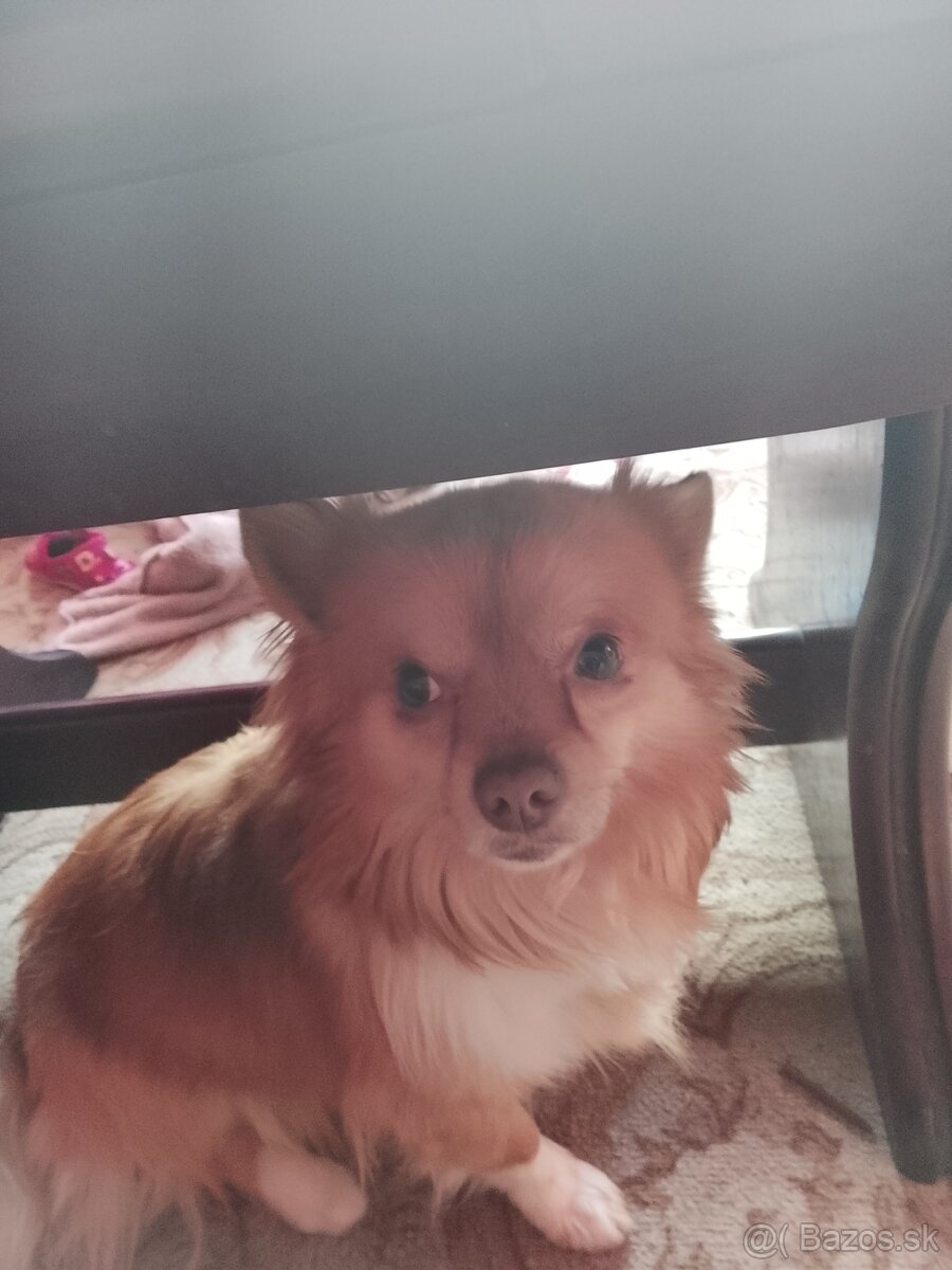 ib432844@gmail.com - 2