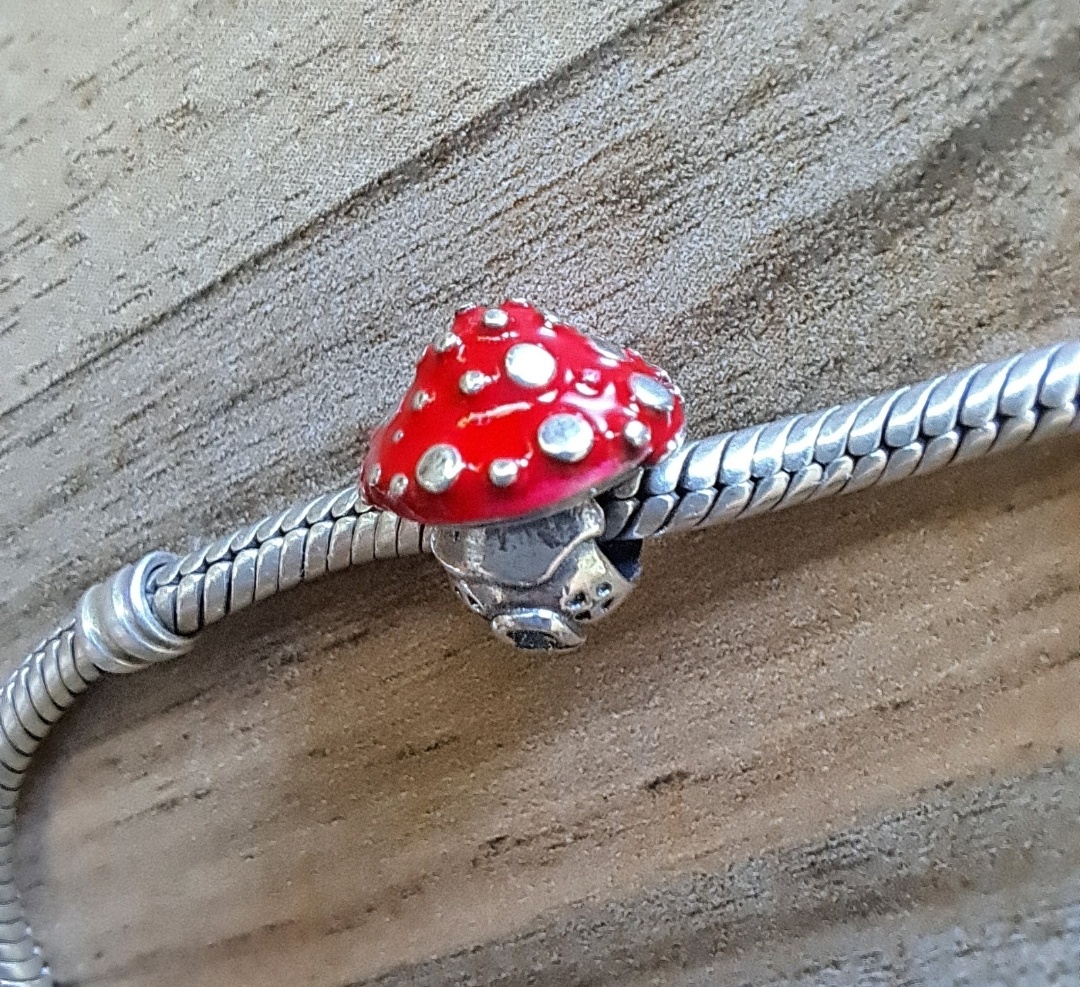 Prívesok Hríbikový Dom - 2