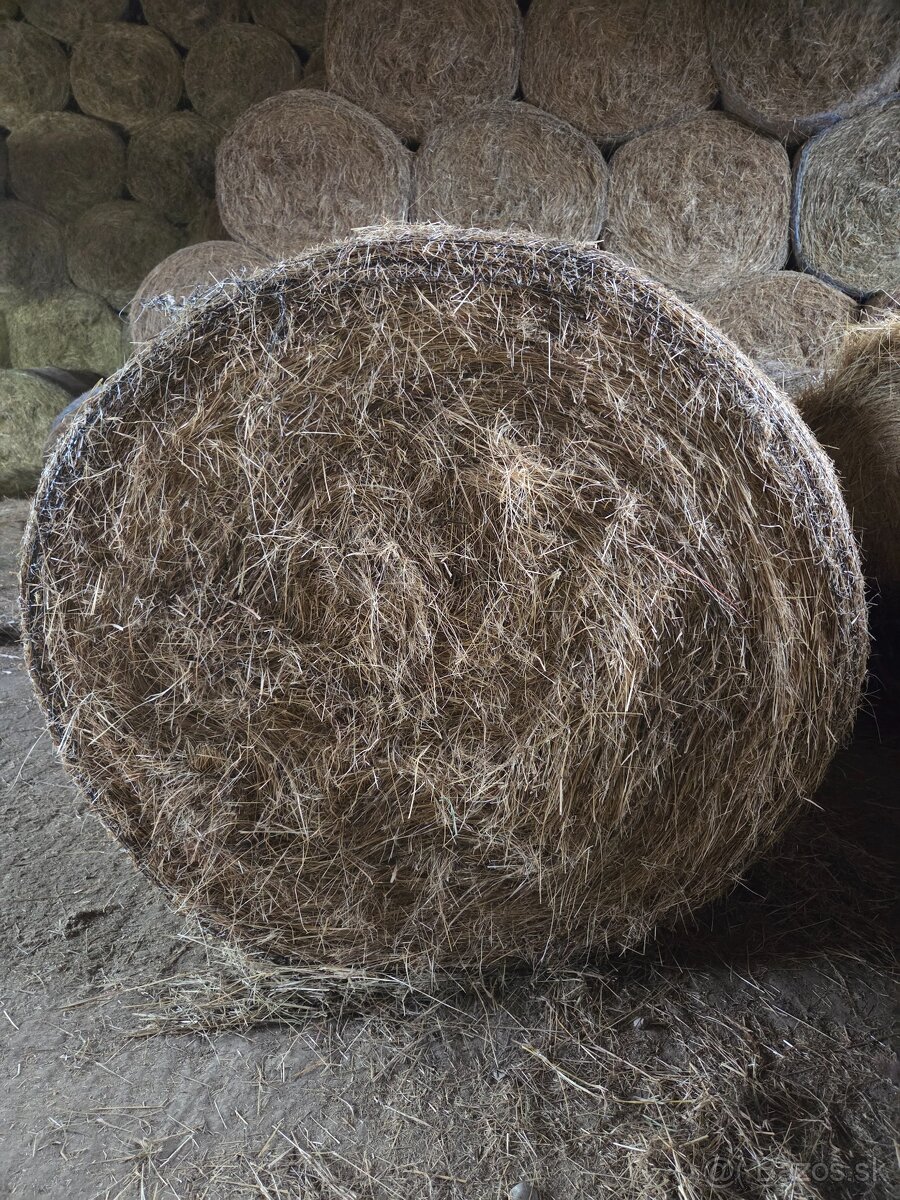 Predám seno/senáž - 2