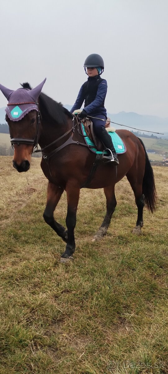 Predám/ vymením 10r kobylu na rekreaciu - 2