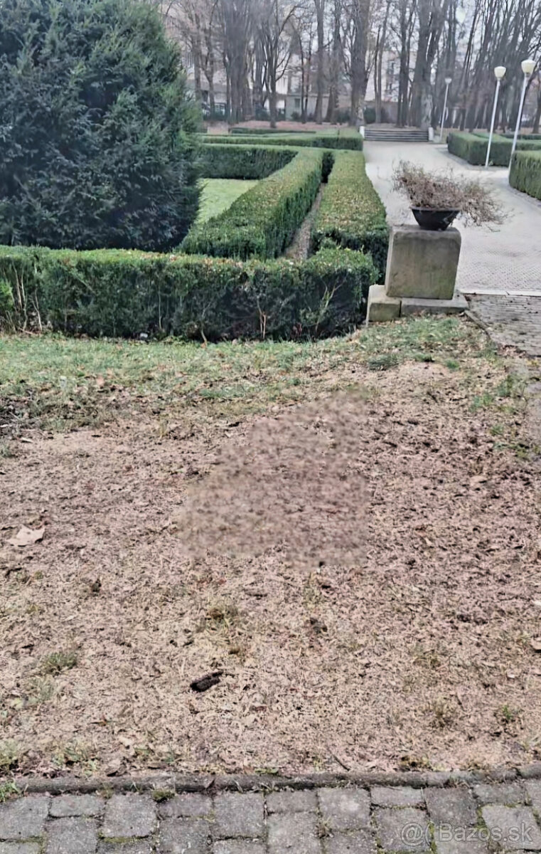 Frézovanie pňov. - 2