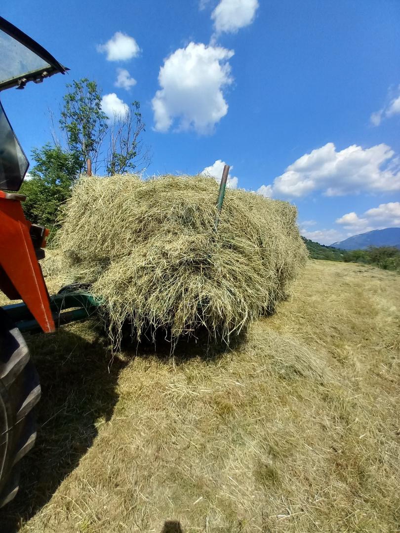 Predam lučne seno neupršane - 2