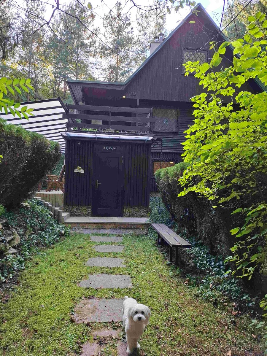 Predáme 5,5 izb. chatu so saunou pri lese nad PN - 2