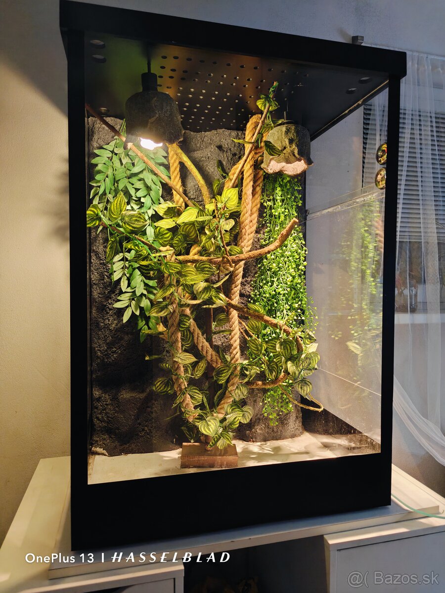 Terárium - 2
