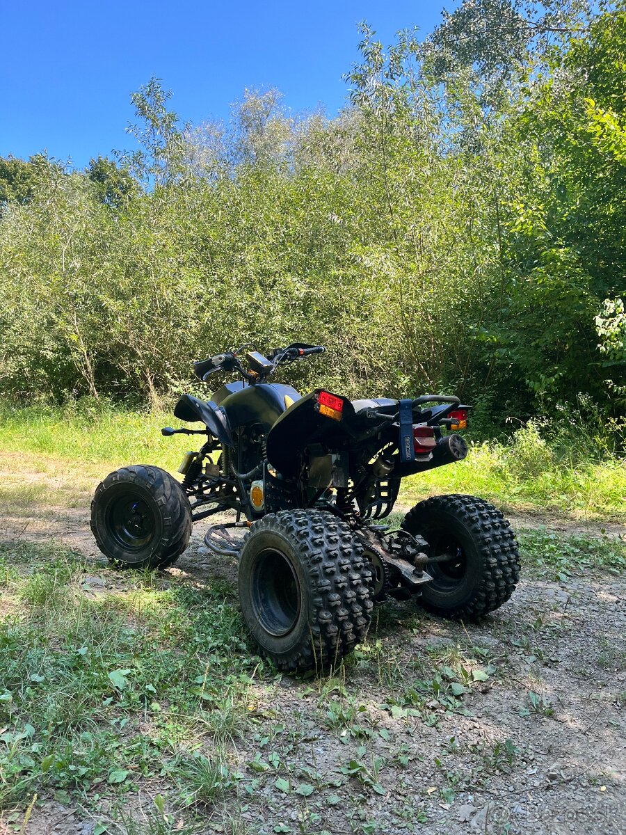 BASHAN 250