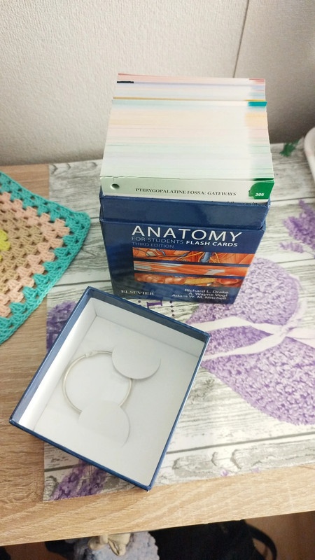 Anatomické kartičky - 2