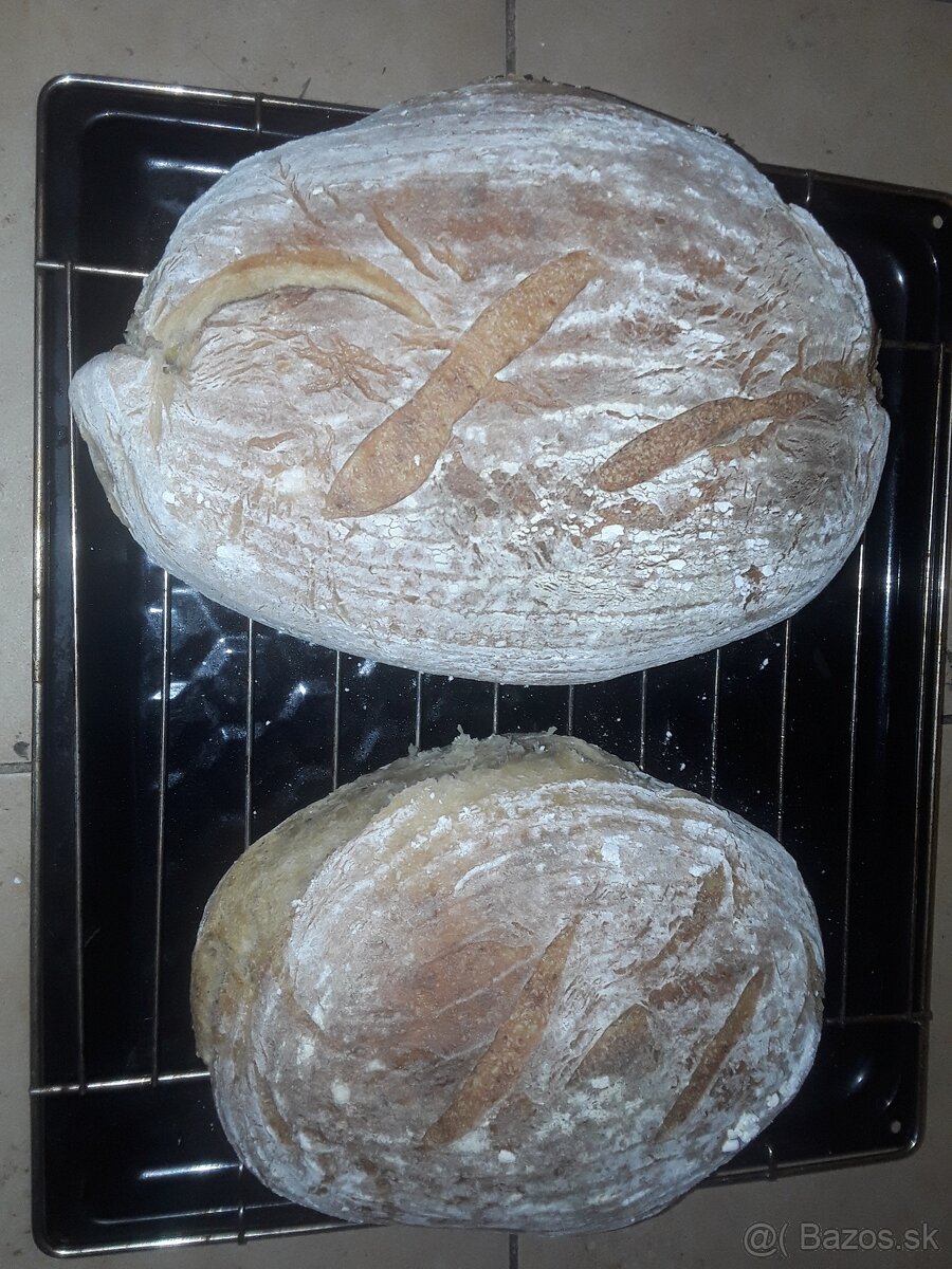 Ražný kvások cena 4€, sušený kvások 15g za 3€ - 2