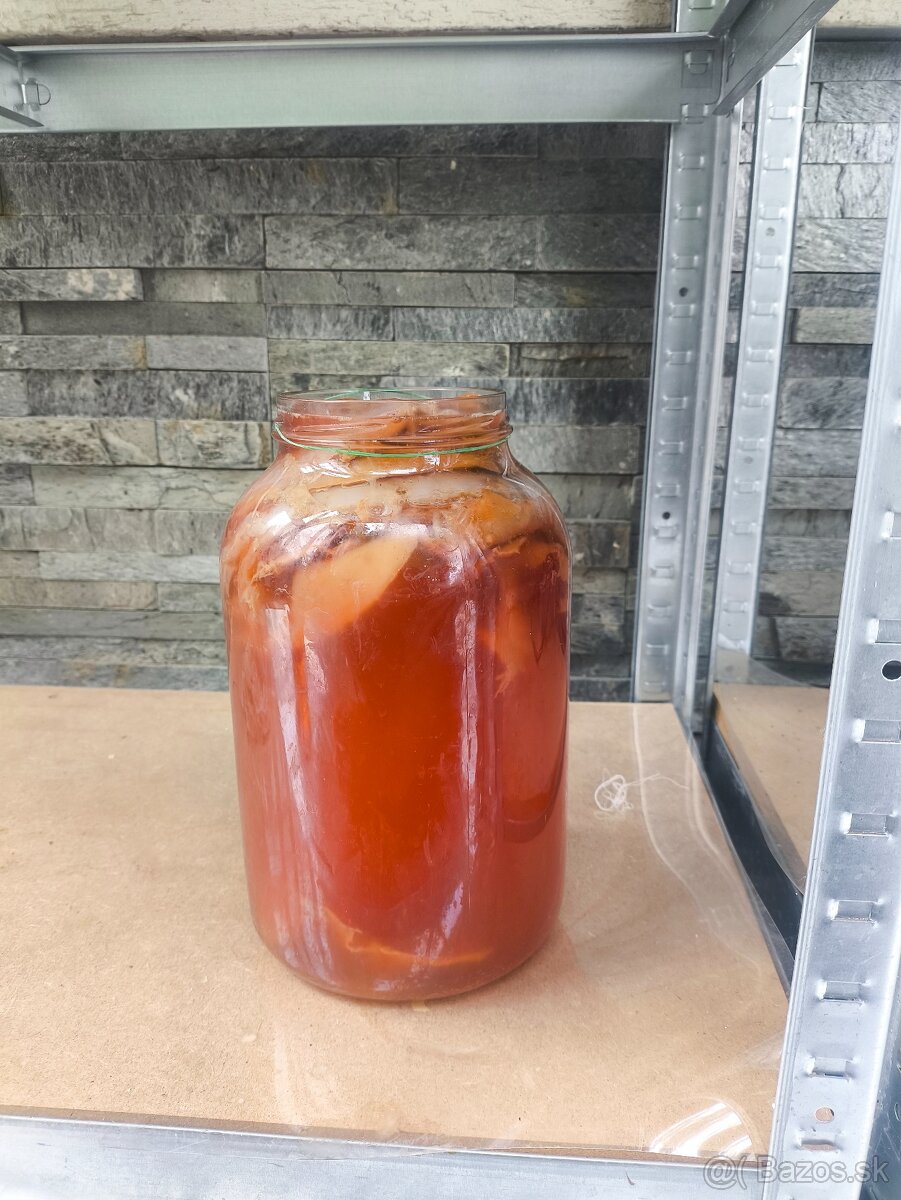 Kombucha predaj - 2