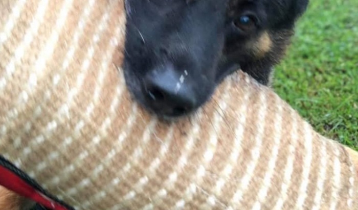 Hľadáme trénerov - 2