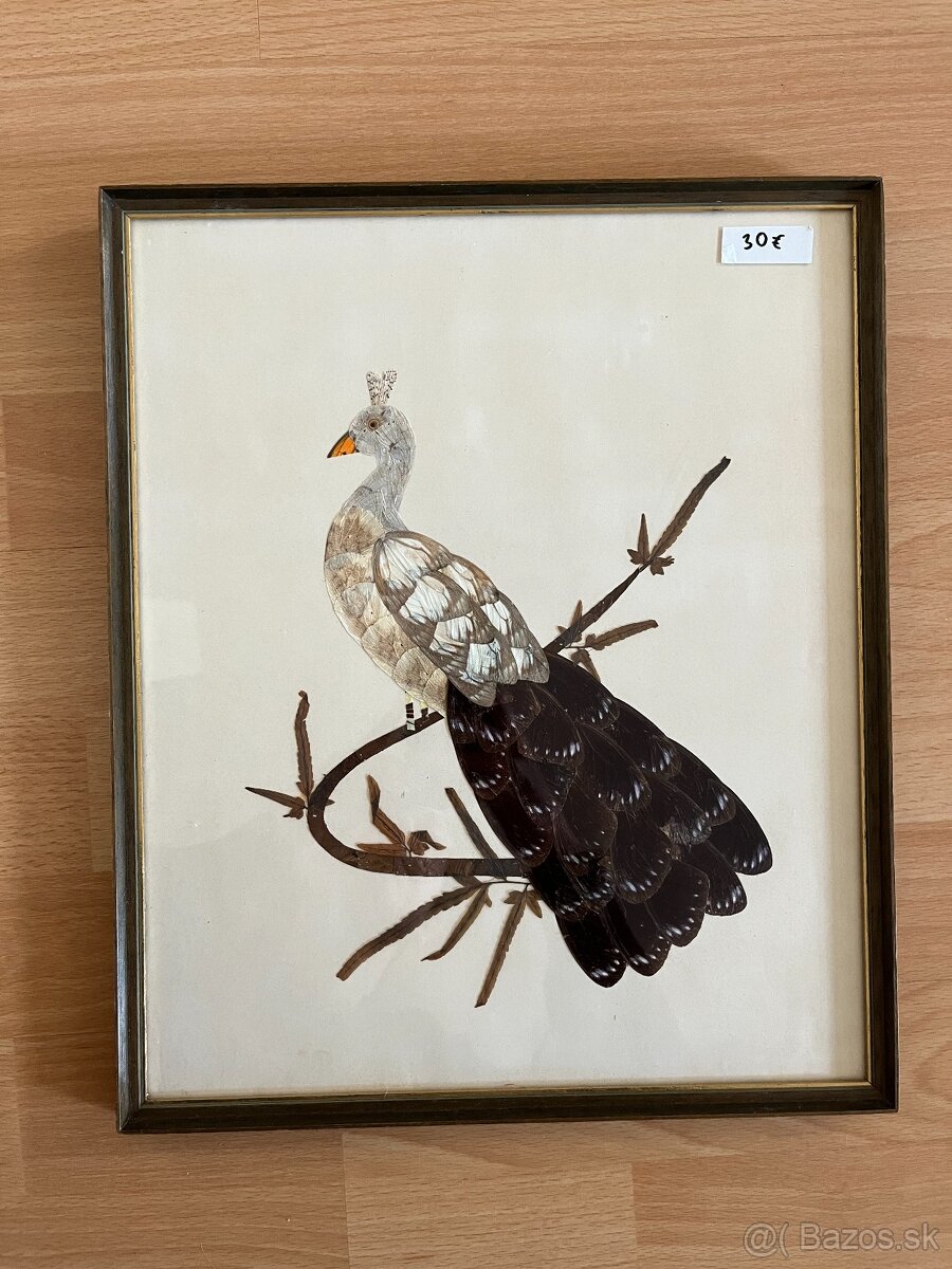 Obraz páva z motýlich krídel - 2