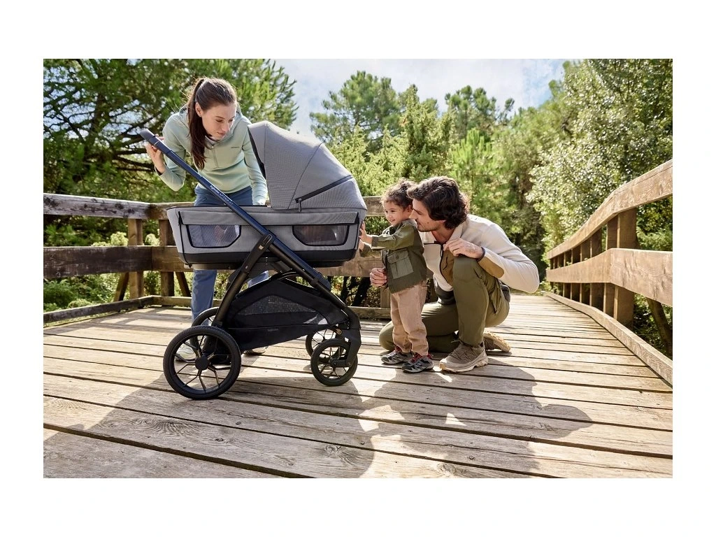 Inglesina Aptica XT Canyon Grey - 2