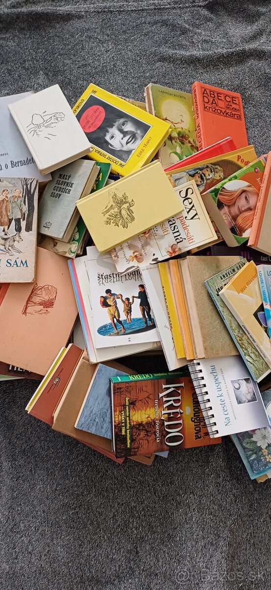 Darujem knihy a keramiku - 2