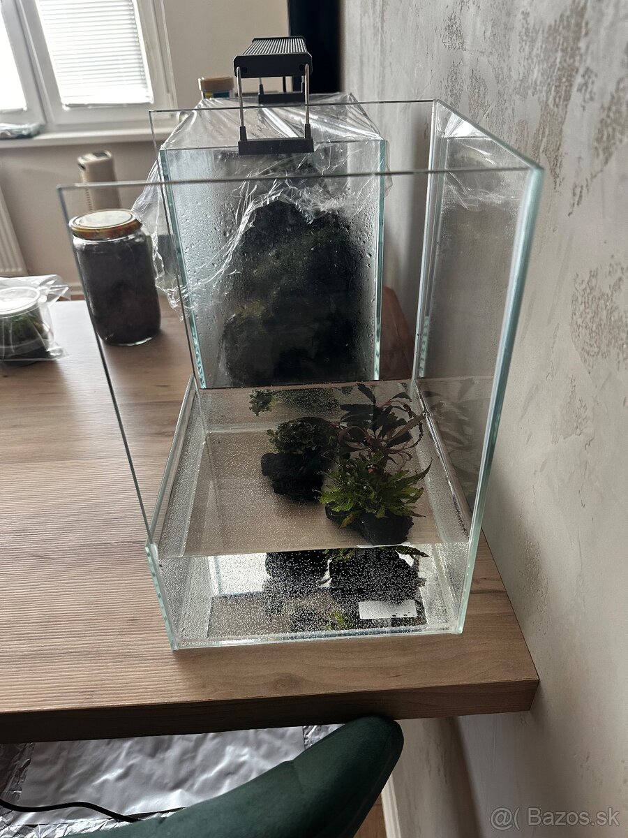 Predám nano paludarium - 2