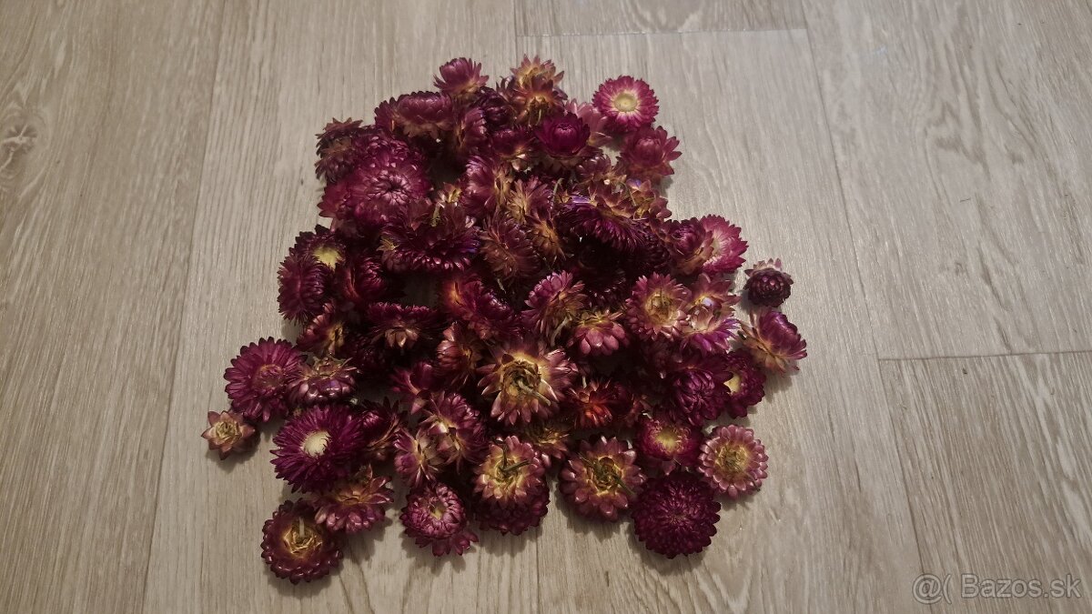 Sušené kvety - 2