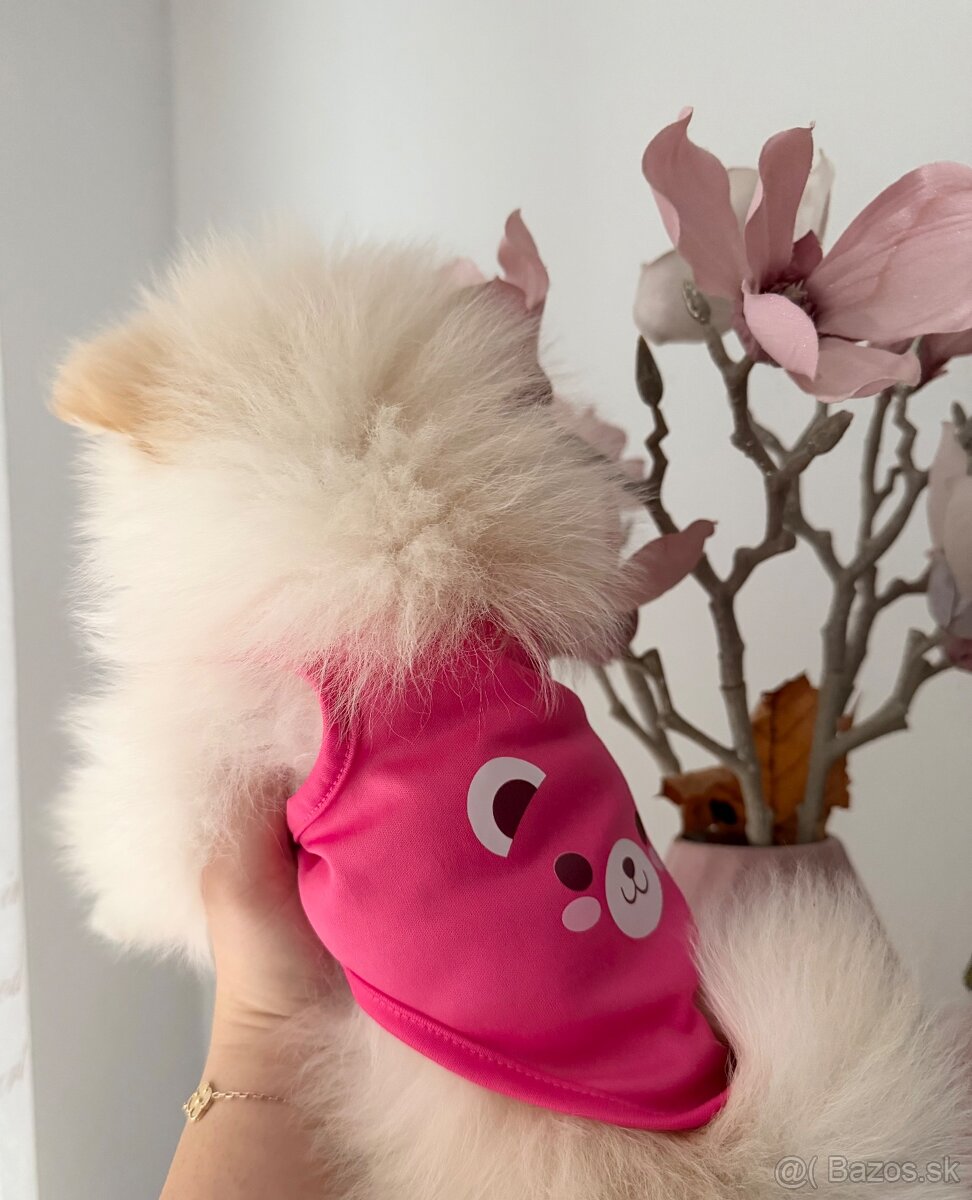 🌸 Princezná mini špic 🌸 - 2